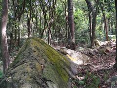 -广州市石门国家森林公园