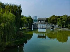 -洛阳市隋唐城遗址植物园