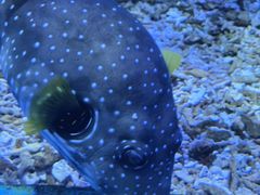 -海合安武汉极地海洋公园