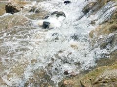 -崇州九龙峡漂流