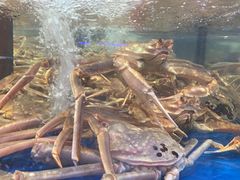 -盒马X会员店(上海森兰商都店)