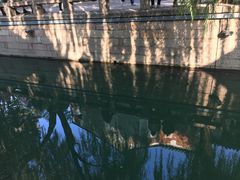 -随柳居·苏式小吃(建新巷店)