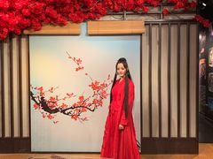 -武汉杜莎夫人蜡像馆