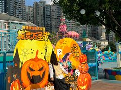 -海合安成都极地海洋公园