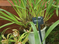 -国家植物园南园