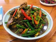 -翠林云庄大酒店