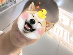 -square方形密室逃脱(深南东路店)