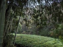 -敬亭山风景名胜区