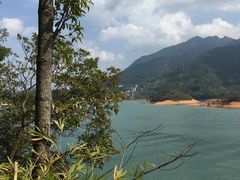-广州市流溪河国家森林公园