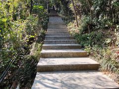 -小南山公园