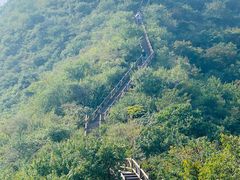 -大岭沟猕猴桃谷风景区