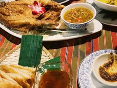 -卷心菜和避孕套餐厅(Pattaya)