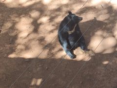 -昆明动物园