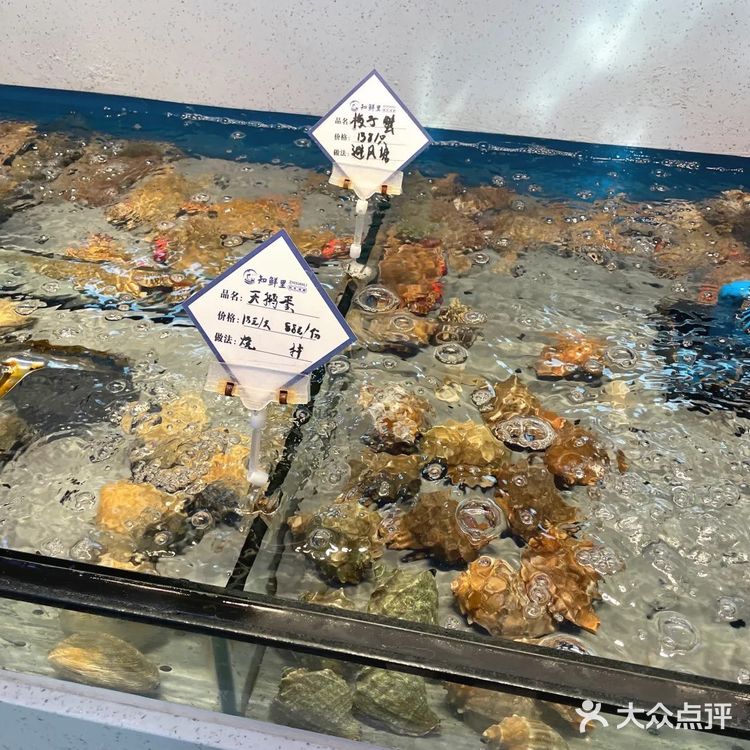 新鲁菜✨宝藏餐厅知鲜里