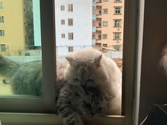 -大洋晶典(东街店)