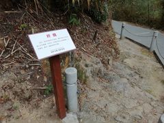 -羚羊峡古栈道森林公园