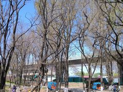-丁香湖公园