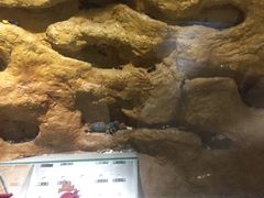 -上海昆虫博物馆