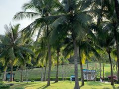 -三亚南山文化旅游区