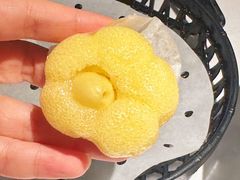 -凤凰湘语(浦东旗舰店)