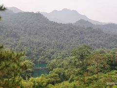 -鼎湖山风景区
