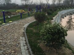 -阳光钱柜KTV(八一路店)