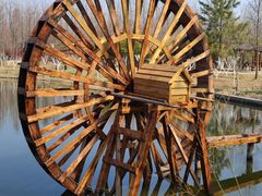 -合肥滨湖国家森林公园