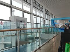 -青岛胶东国际机场