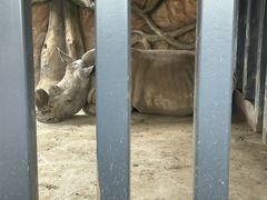 -武汉动物园