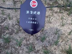 -大兴滨河森林公园