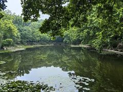 -灵谷景区