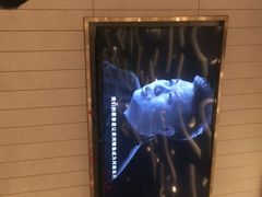 -阿五黄河大鲤鱼(海尚店)