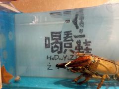 -喝丢一只鞋辣炒海鲜小烧烤(三八广场店)