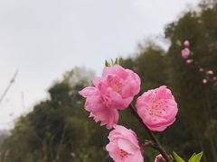 -常德桃花源景区
