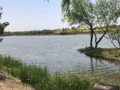 -东郊湿地公园