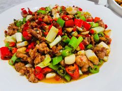 -天辣(金桥啦啦宝都店)