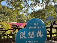 -西双版纳原始森林公园
