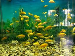 -泉州海丝野生动物世界