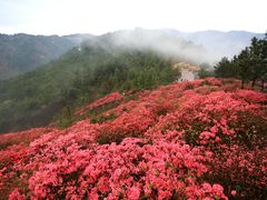 -木兰云雾山