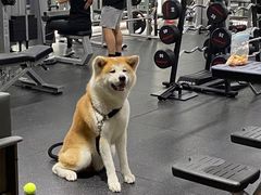 -YCHL Studios健身工作室(市二宫店)