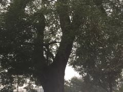 -天宁寺