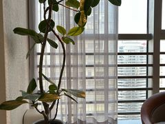 -争渡心理咨询全国连锁(福田店)