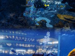 -成都浩海立方海洋公园