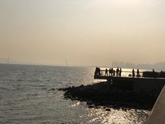-深圳湾公园(南山区)