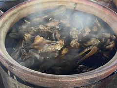 -霞姐屯昌枫木香草鸭店(海螺店)