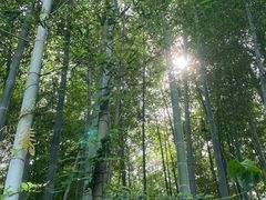 -池州市平天湖风景区