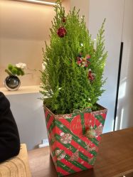 -水仙美肌面部护理美容馆