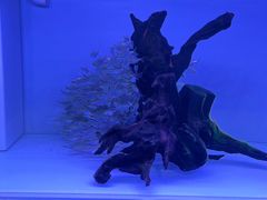 -金三角花鸟鱼综合市场-地面停车场