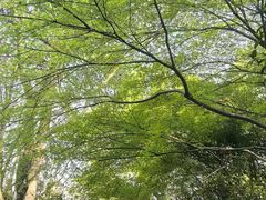 -杭州少年儿童公园