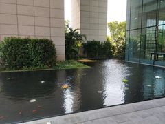 -领事馆19号中餐厅(厦门海景洲际酒店)